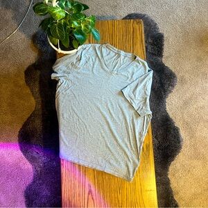 Everlane Gray V-Neck L